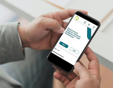 NEW! Enhancing Your Influence: Module 2 - Lime Horse